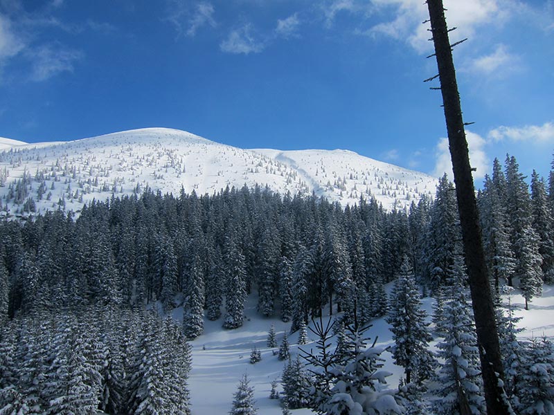 Kuhschneeberg